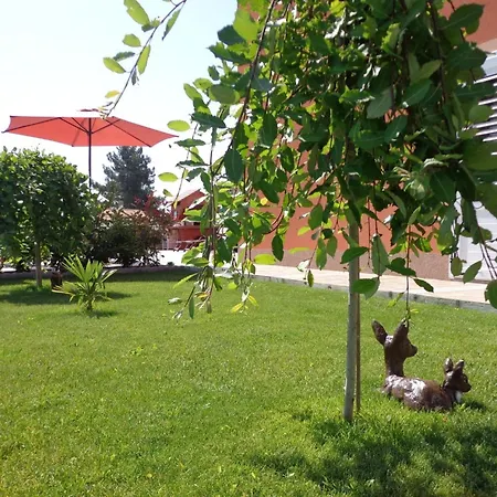 Appartement Mit Panoramablick In Ruhiger Lage By Interhome Kaštel