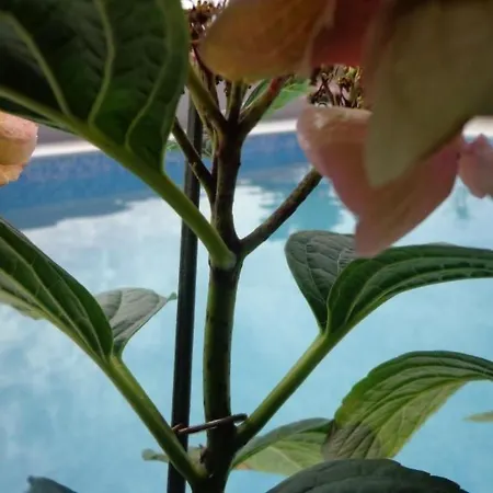 Mit Panoramablick In Ruhiger Lage By Interhome * Kaštel