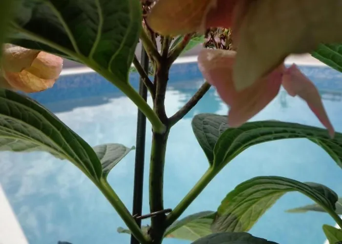 Mit Panoramablick In Ruhiger Lage By Interhome * Kastel